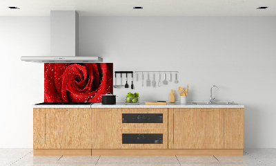 Panel do kuchyně Kapky na růži