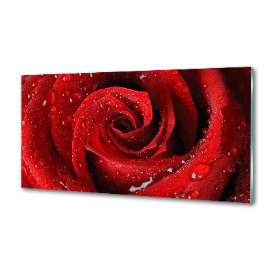 Panel do kuchyně Kapky na růži