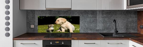Panel do kuchyně Pes a kočka na louce