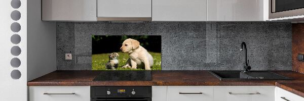 Panel do kuchyně Pes a kočka na louce