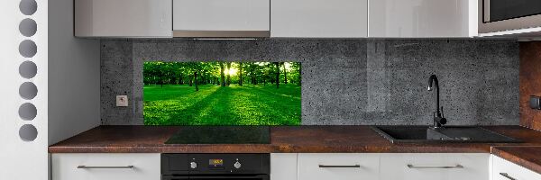 Panel do kuchyně Tráva v parku