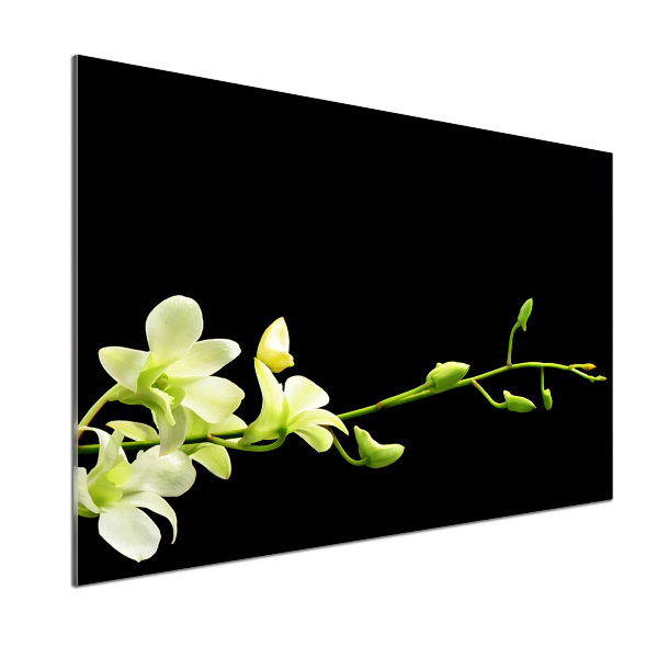 Skleněný panel do kuchynské linky Orchidej