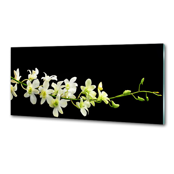 Skleněný panel do kuchynské linky Orchidej