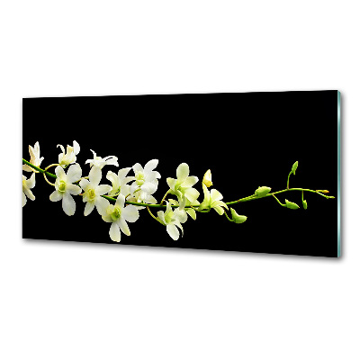 Skleněný panel do kuchynské linky Orchidej