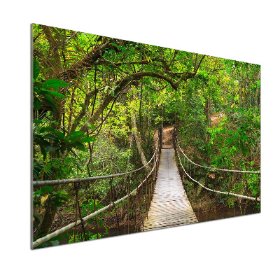 Dekorační panel sklo Lanový most