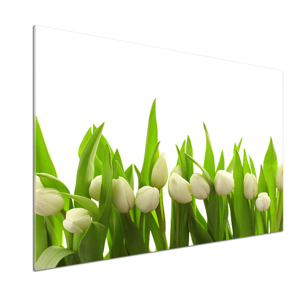 Panel do kuchyně Bílé tulipány