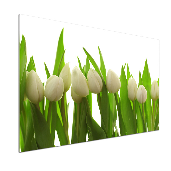 Panel do kuchyně Bílé tulipány