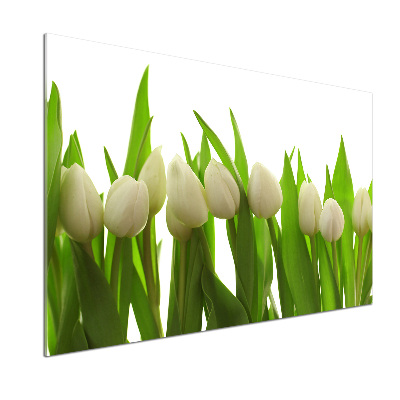 Panel do kuchyně Bílé tulipány
