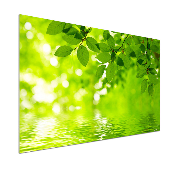 Panel do kuchyně Zelené listí
