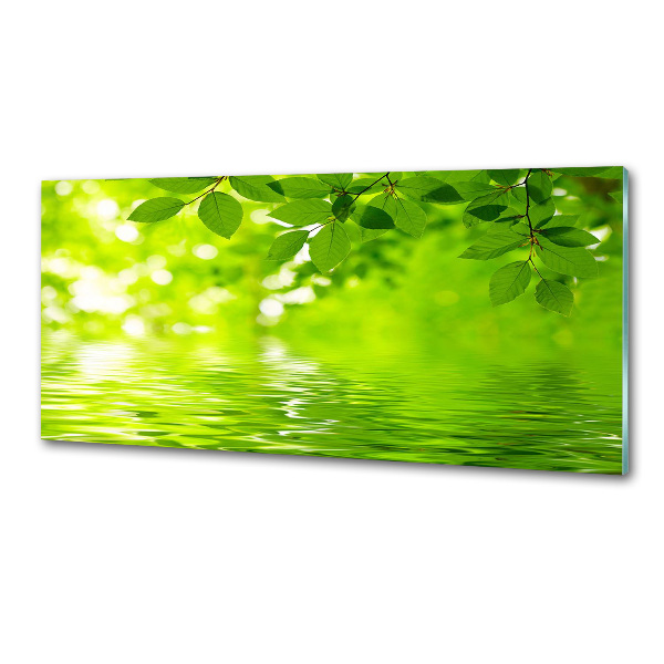 Panel do kuchyně Zelené listí