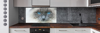 Panel lacobel Kočka modré oči