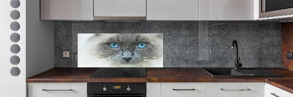 Panel lacobel Kočka modré oči