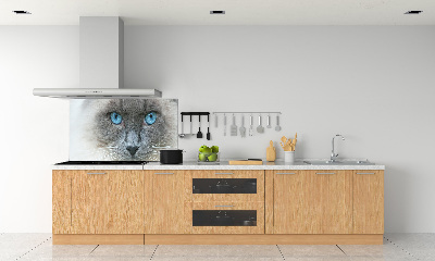 Panel lacobel Kočka modré oči
