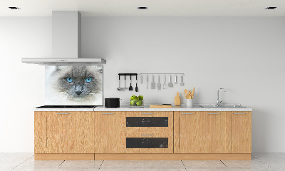 Panel lacobel Kočka modré oči