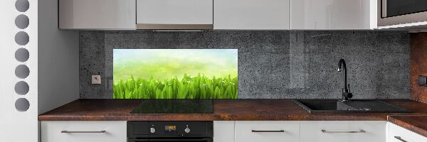 Skleněný panel do kuchyně Tráva