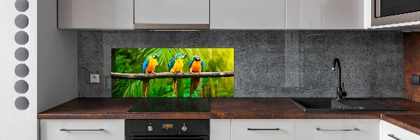 Panel do kuchyně Papoušci na větvi
