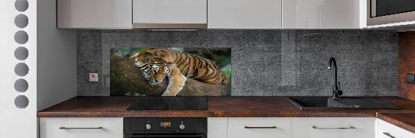 Panel do kuchyně Tygr na stromě
