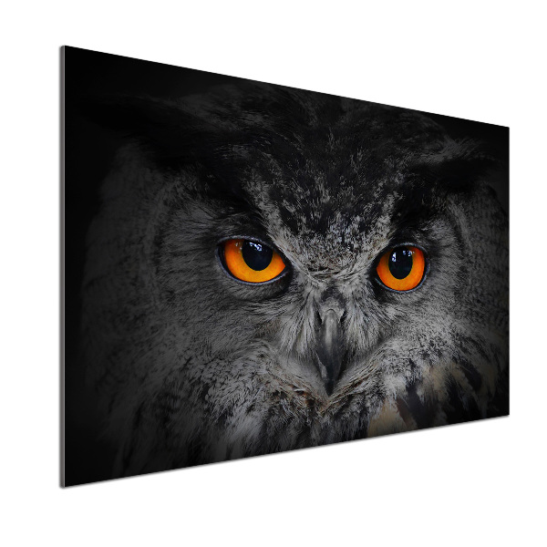 Panel lacobel Oči sovy