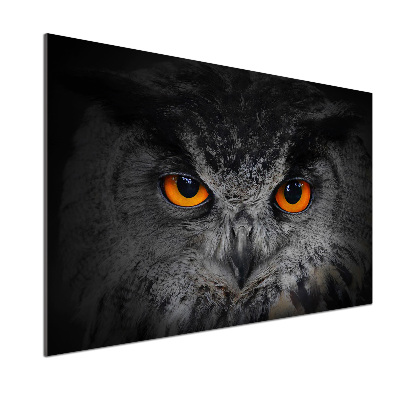 Panel lacobel Oči sovy