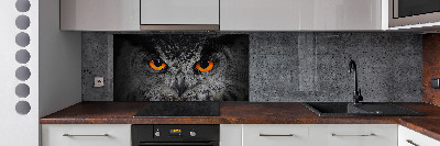 Panel lacobel Oči sovy