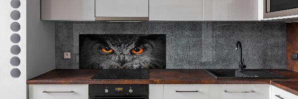 Panel lacobel Oči sovy