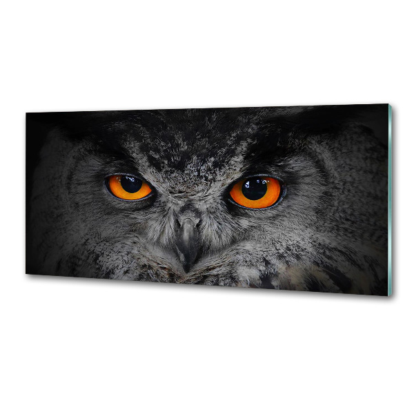 Panel lacobel Oči sovy