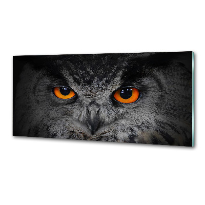 Panel lacobel Oči sovy