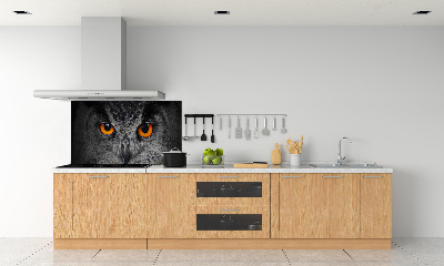 Panel lacobel Oči sovy