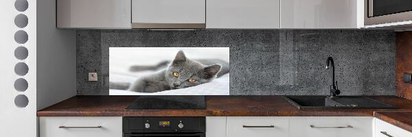 Skleněný panel do kuchynské linky Šedá kočka