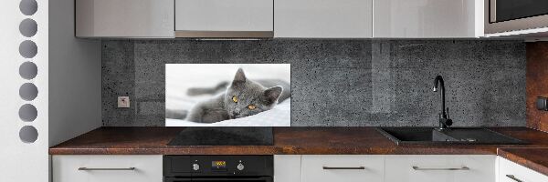Skleněný panel do kuchynské linky Šedá kočka
