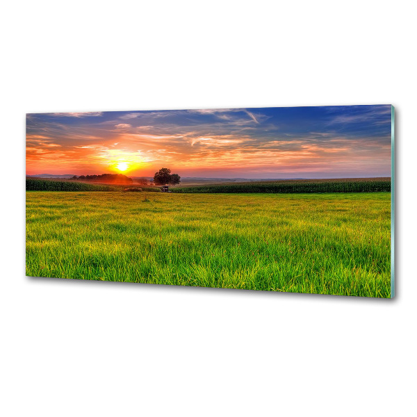 Panel do kuchyně Západ slunce louka