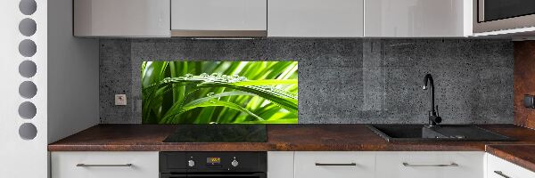 Panel do kuchyně Kapky na trávě