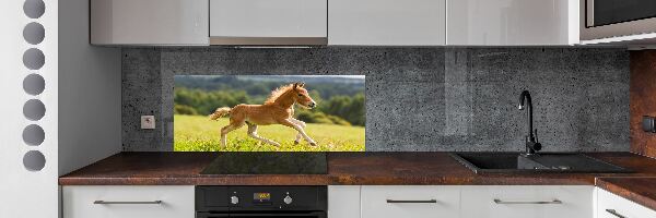 Panel do kuchyně Hříbě ve cvalu