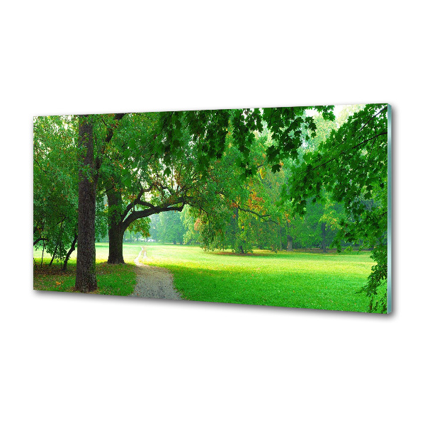 Panel do kuchyně Podzimní park