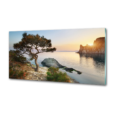 Panel do kuchyně Strom nad mořem