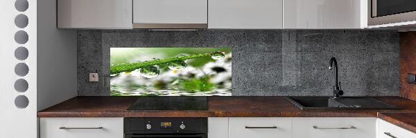 Panel do kuchyně Kapky na trávě