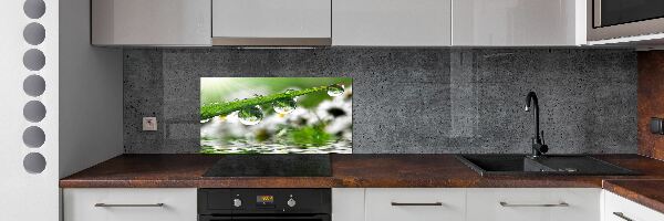 Panel do kuchyně Kapky na trávě