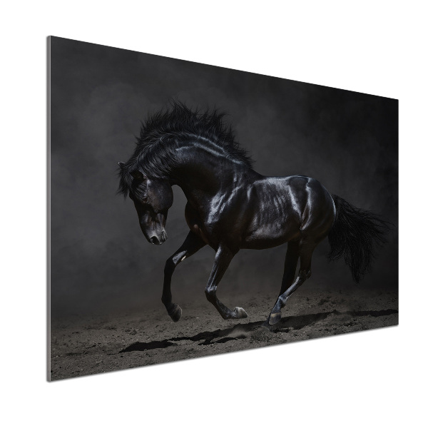 Dekorační panel sklo Černý kůň