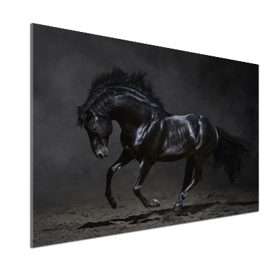 Dekorační panel sklo Černý kůň