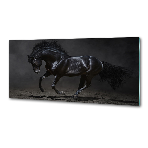 Dekorační panel sklo Černý kůň