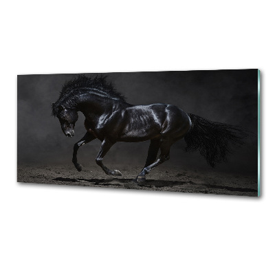Dekorační panel sklo Černý kůň