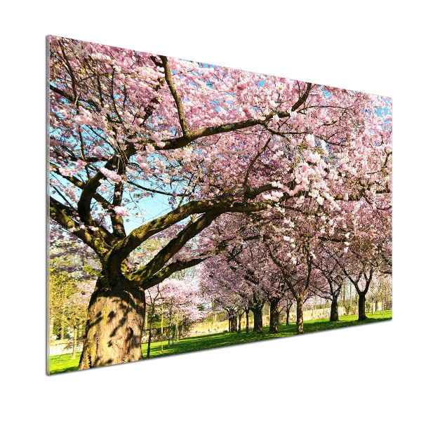 Dekorační panel sklo Višně