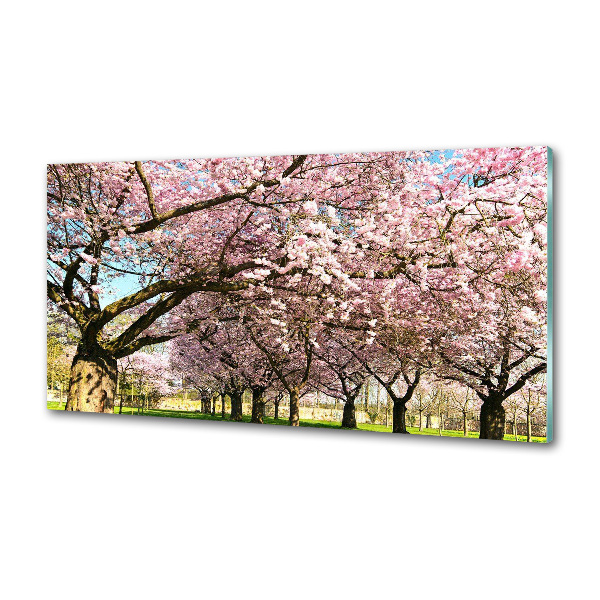 Dekorační panel sklo Višně