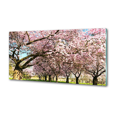 Dekorační panel sklo Višně