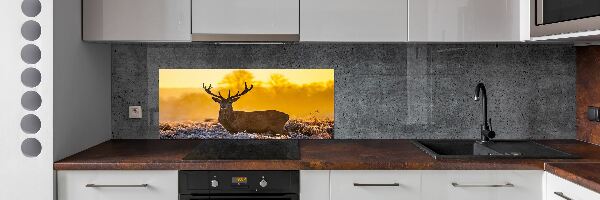 Panel lacobel Jelen východ slunce