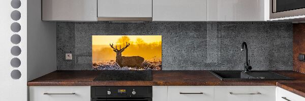 Panel lacobel Jelen východ slunce