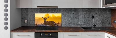 Panel lacobel Jelen východ slunce