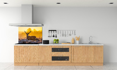 Panel lacobel Jelen východ slunce