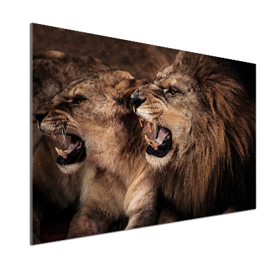 Dekorační panel sklo Řvoucí lvi
