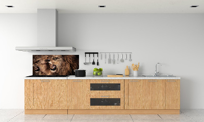 Dekorační panel sklo Řvoucí lvi